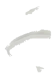 clip