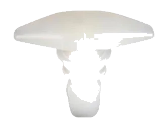clip