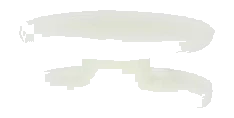 clip